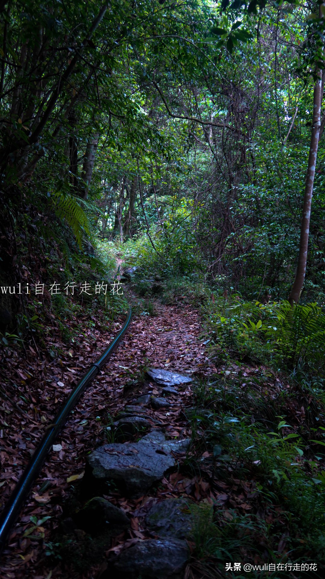 福州十八重溪徒步路线,福州森林公园登山徒步路线