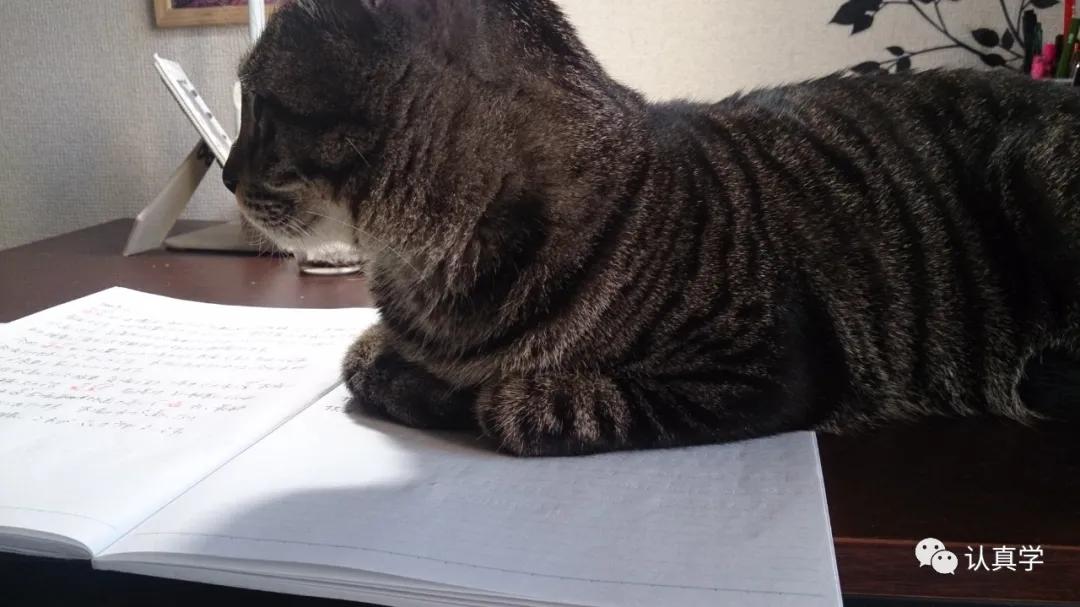 留学生去日本搬家费用高吗,日本留学生搬家公司