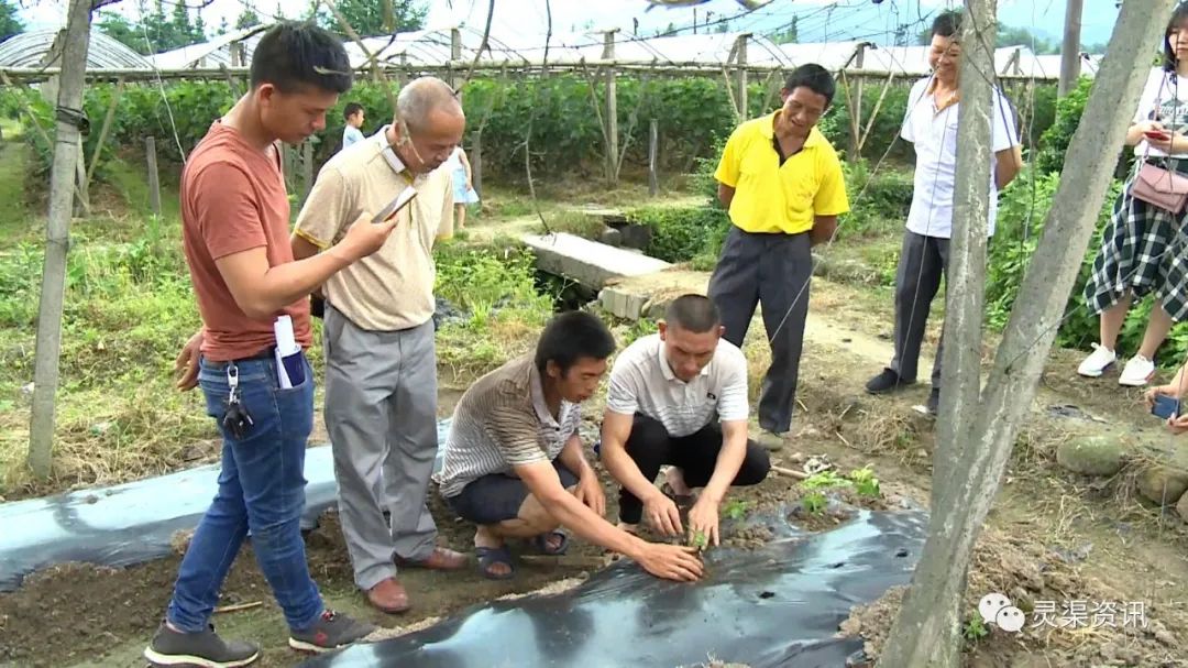 你个笨鸟，这些东西让你全部“弄死了”