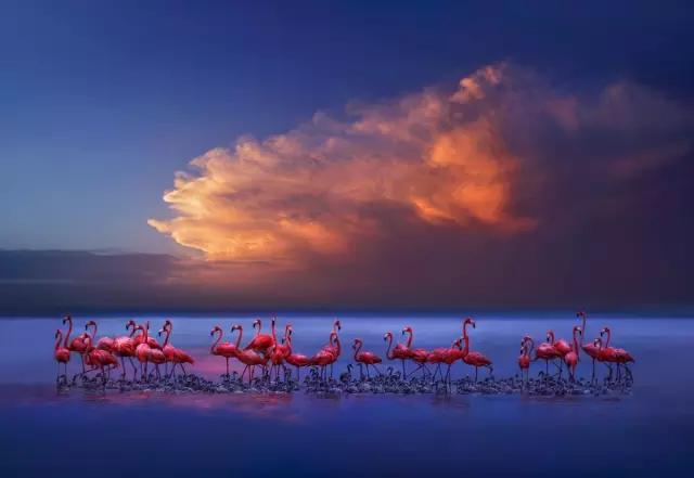 好利来算不算小蛋糕,好利来蛋糕地位