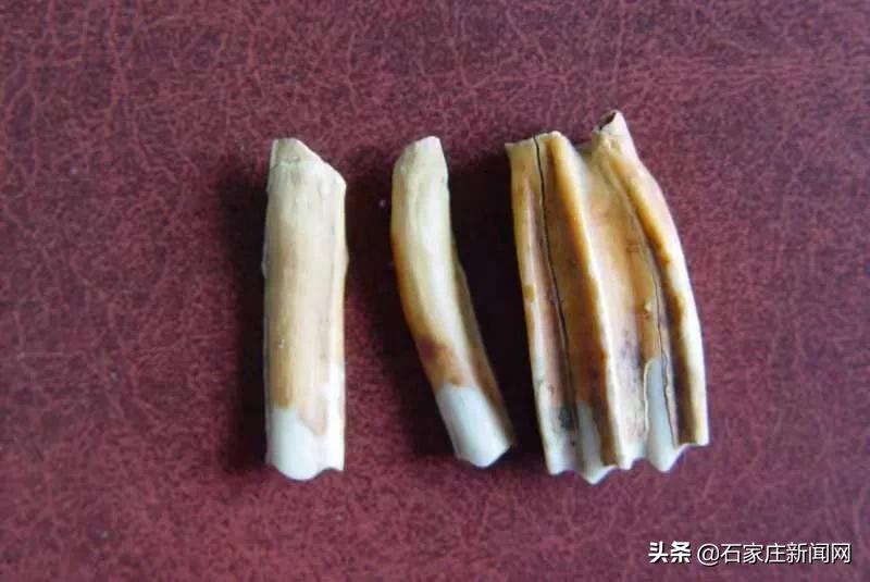 这里,是石家庄先民之家