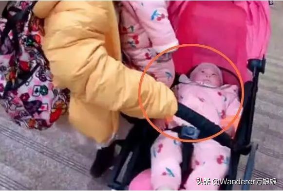 爸爸去哪儿了综艺节目有哪些,明星父母的心酸