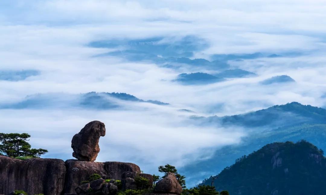 六月，来黄山寻找属于你的快乐星球！