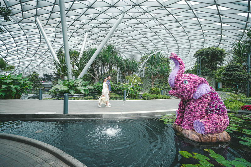 一人一猫环游,一人一猫旅行