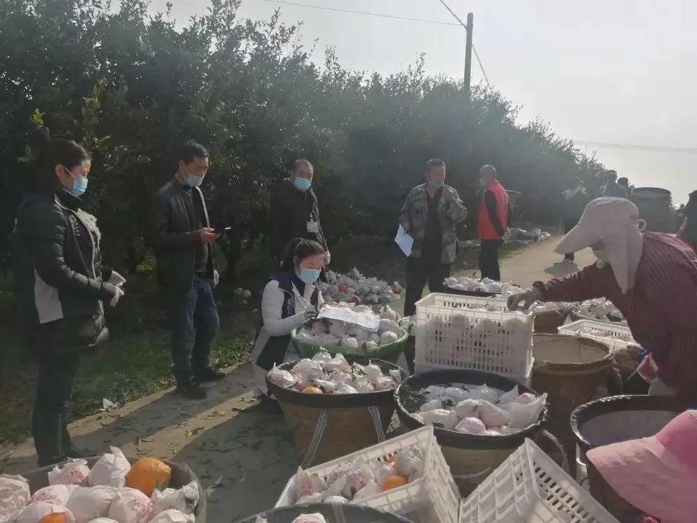 疫情下蔬菜滞销,为什么今年水果滞销