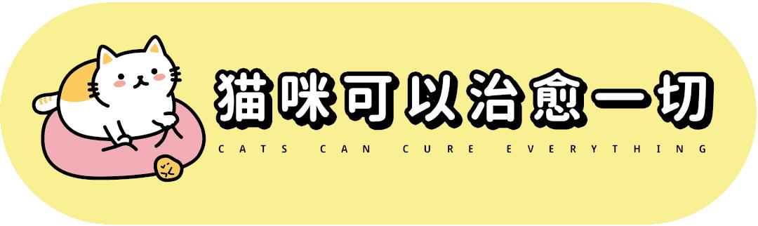 猫一天放了好几个臭屁,猫咪放的屁巨臭怎么回事