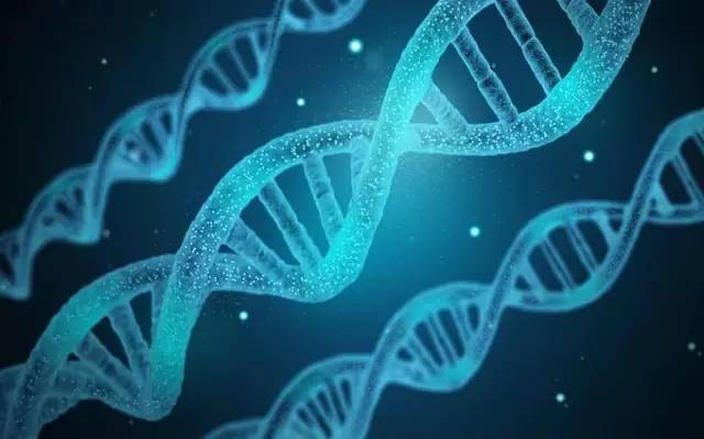 动物优质蛋白,小孩蛋氨酸过高