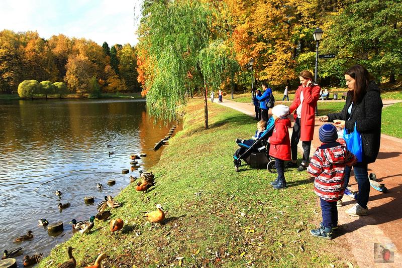 奢华宏伟,绝美的风景俄罗斯