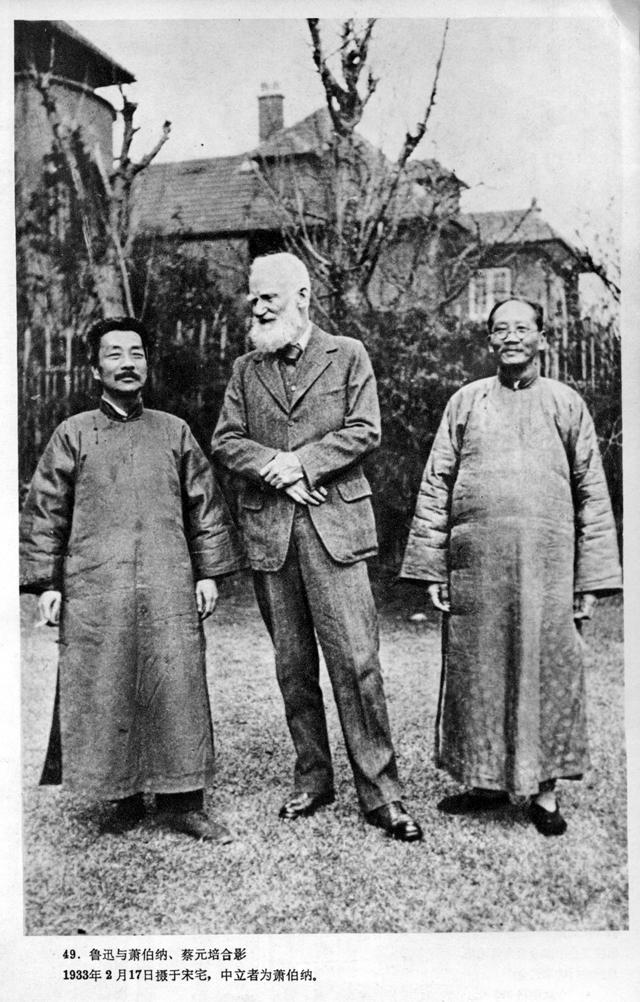 鲁迅生平事迹和艺术成就,鲁迅在美术上的造诣及作品