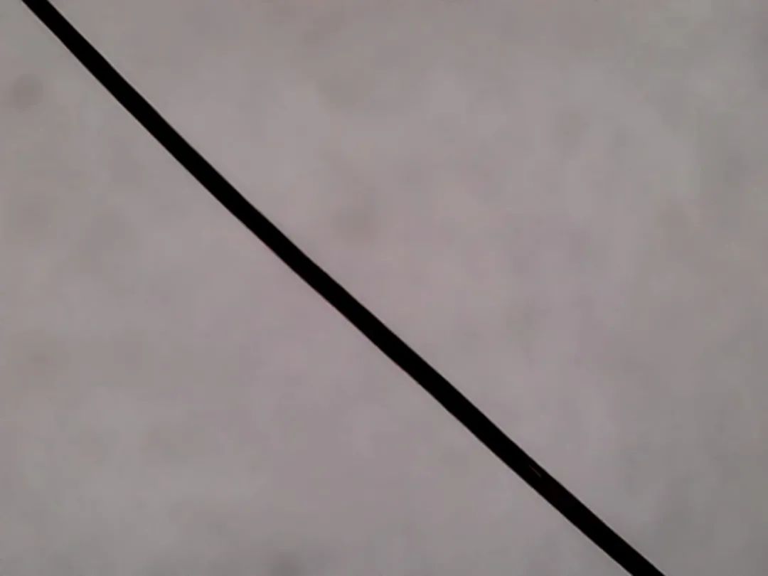 暑假孩子玩手机不如打篮球吧,儿童显微镜放大蚂蚁120倍