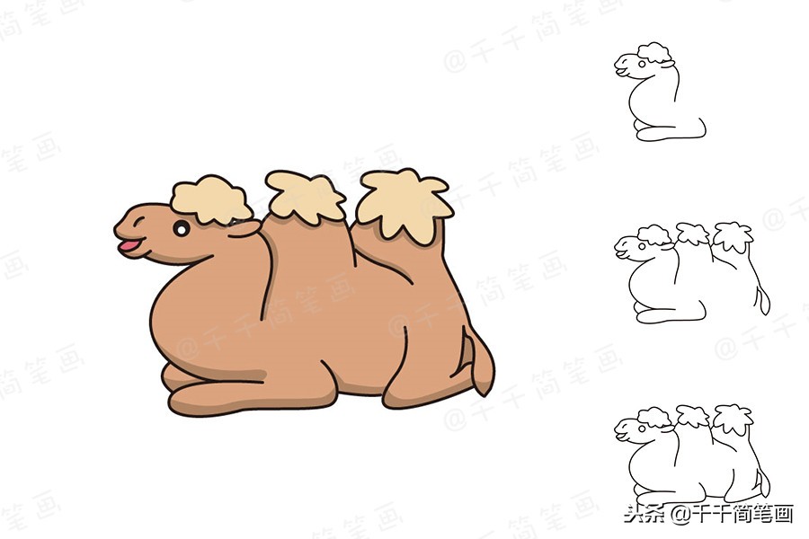 豹子乌龟简笔画,儿童画画8-10岁简笔画小动物