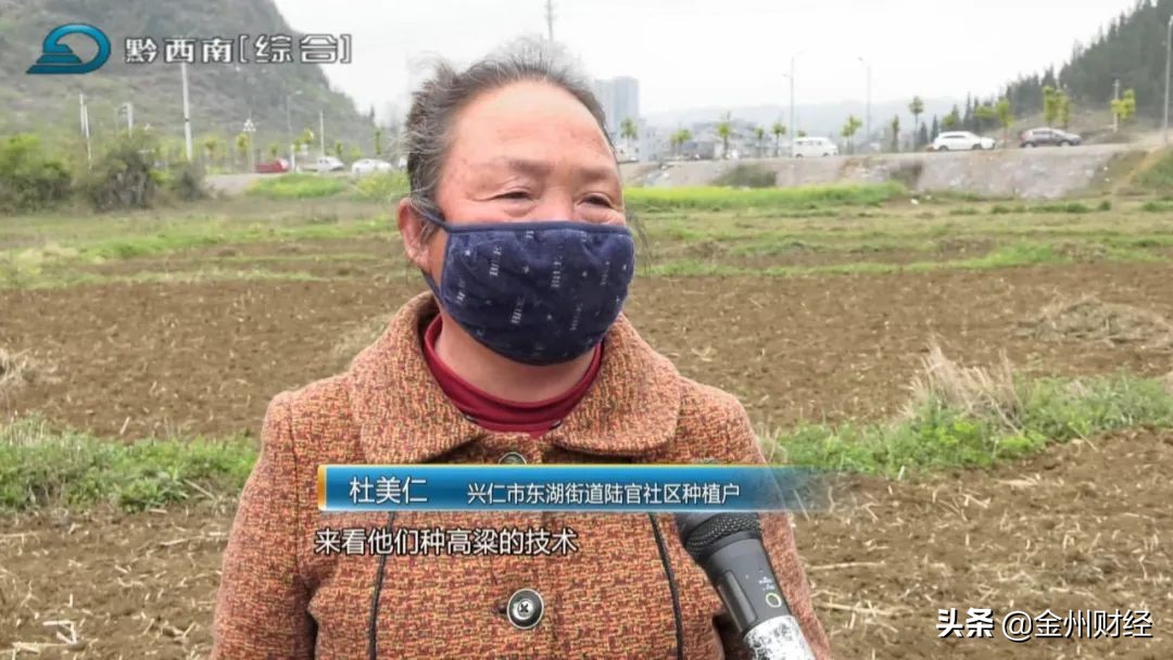 【电视版】兴仁农商银行:信贷支持高粱产业成就百姓致富梦