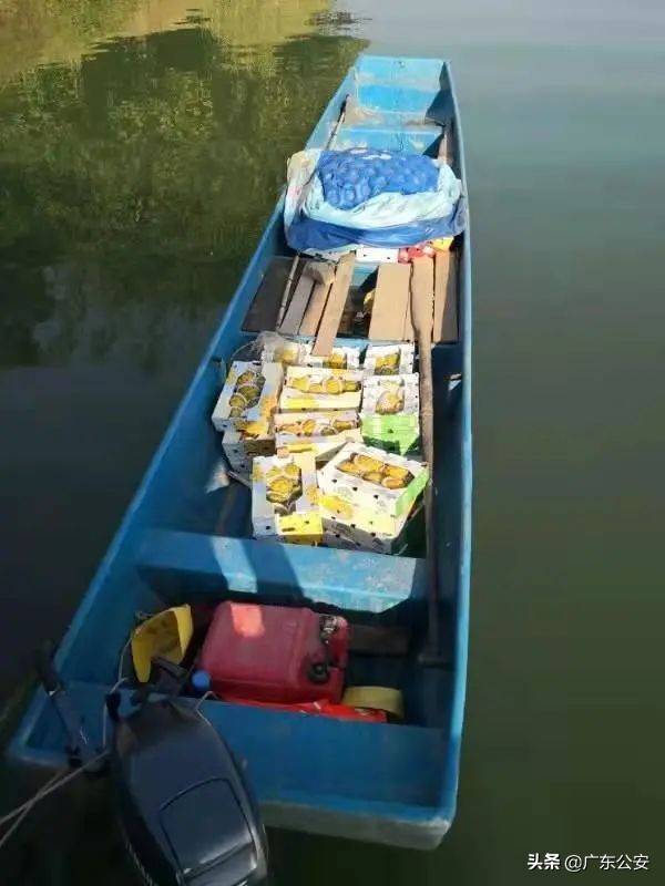 吃完火龙果后千万不要碰这几种,吃完火龙果千万别吃这三种