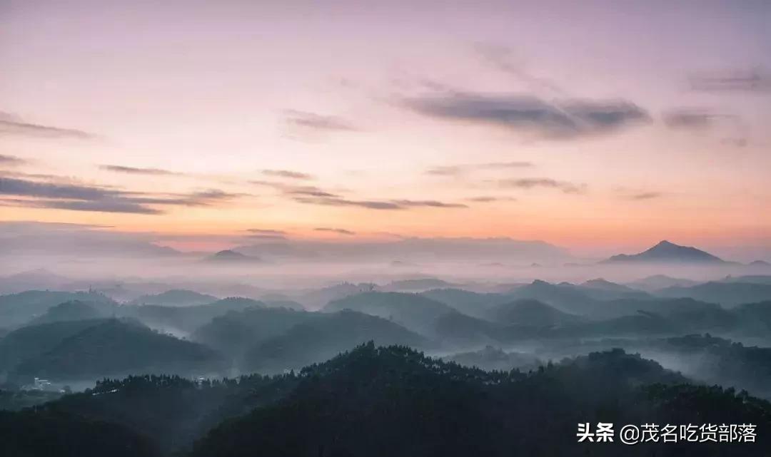 茂名这座城市被誉为什么城,茂名是一座怎样的城市