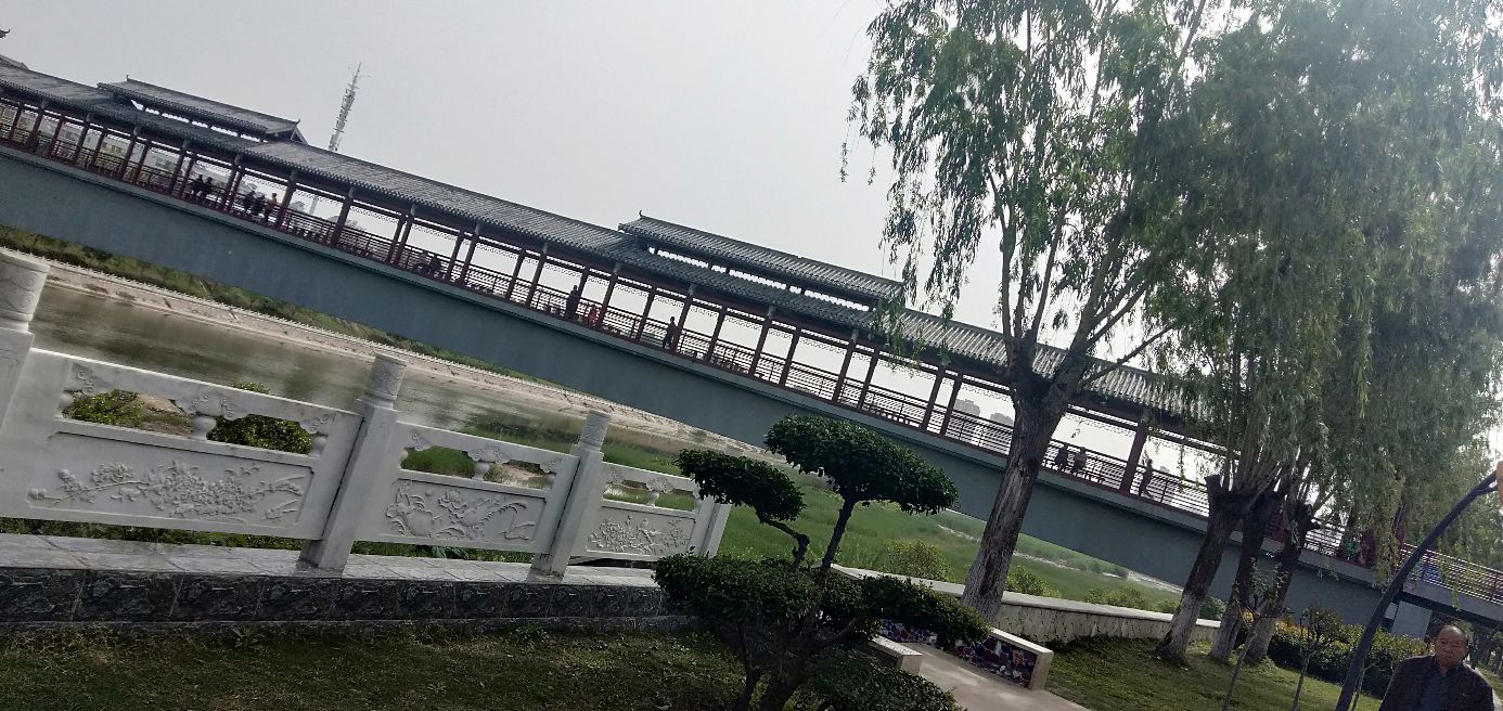 龙与虎说圣诞快乐,龙与虎作者访谈