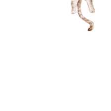 小说‖甜宠《偏执宠爱》，清媚摄影师与硬汉军人的偏执爱恋