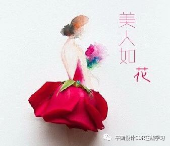 coreldraw软件如何导入cdr符号,coreldrawcdr对象的选取方法