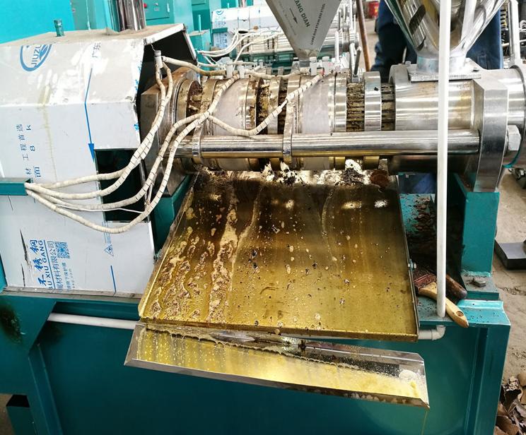 大型榨油机最新款全自动设备,油菜籽榨油机最新款全自动设备