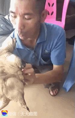 搞笑动图gif素材,搞笑动图gif图片2000期