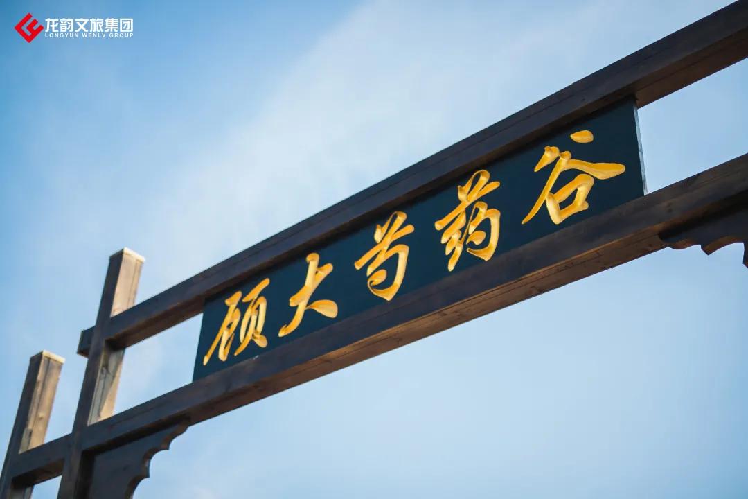 真香预警!300亩花海盛放,烤全羊十里飘香!