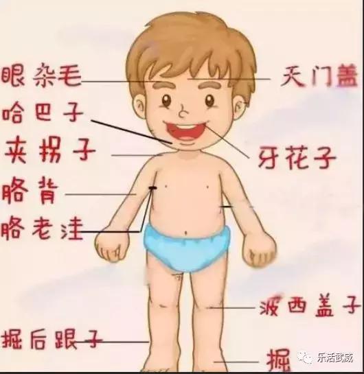 你是不是正宗武威人，一句话就能证明