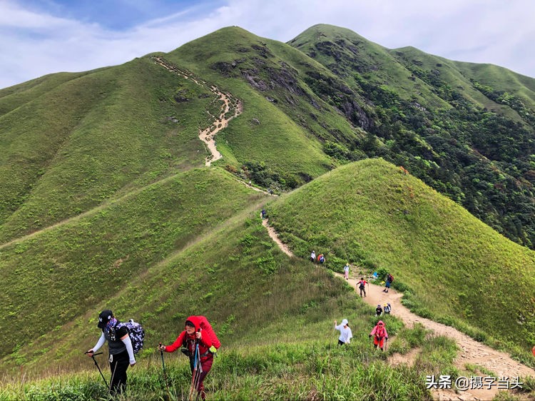 初夏游江西：历经晴、雨、雾，穿越武功山