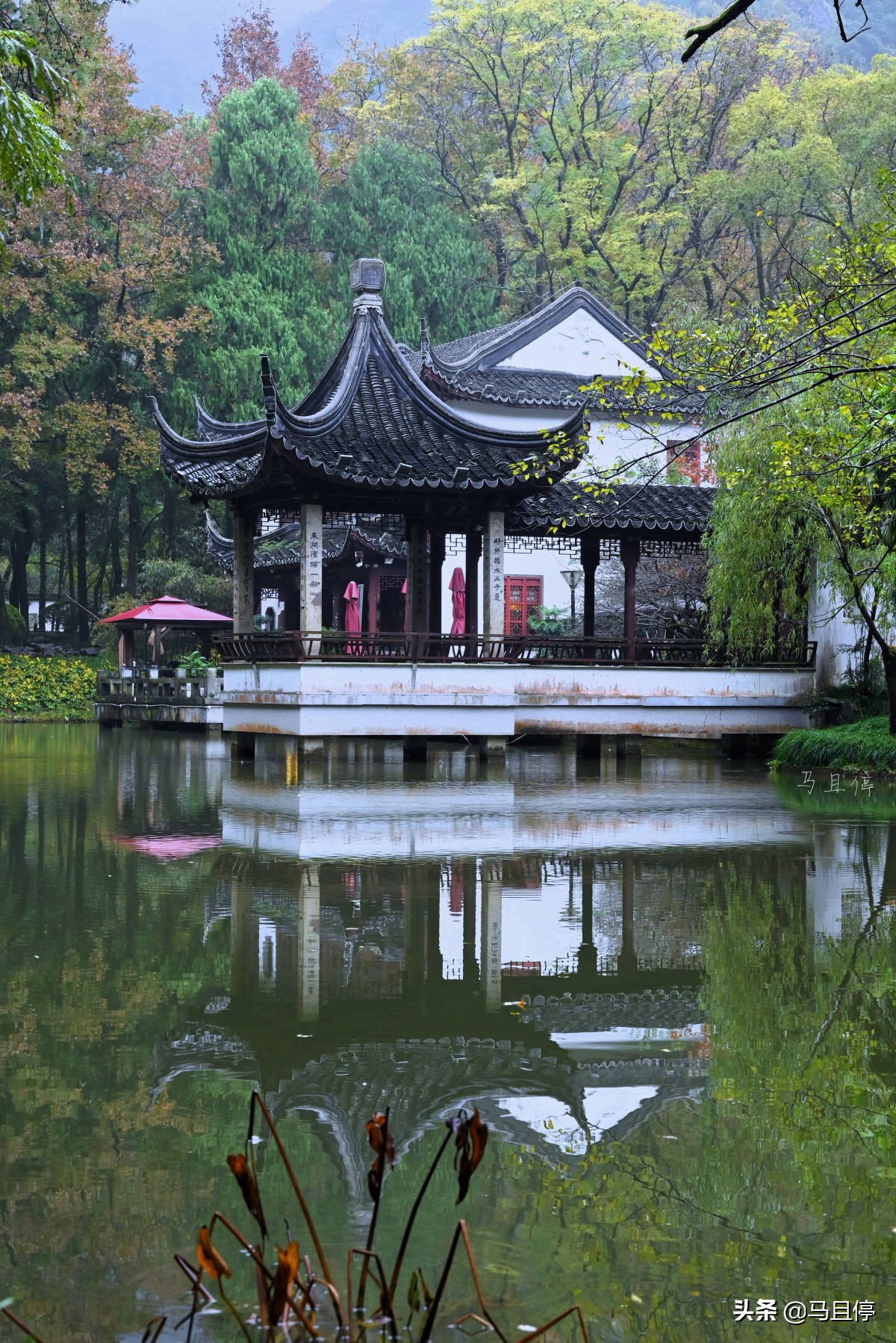 台州黄岩还有崛起的时候吗,黄岩有多强