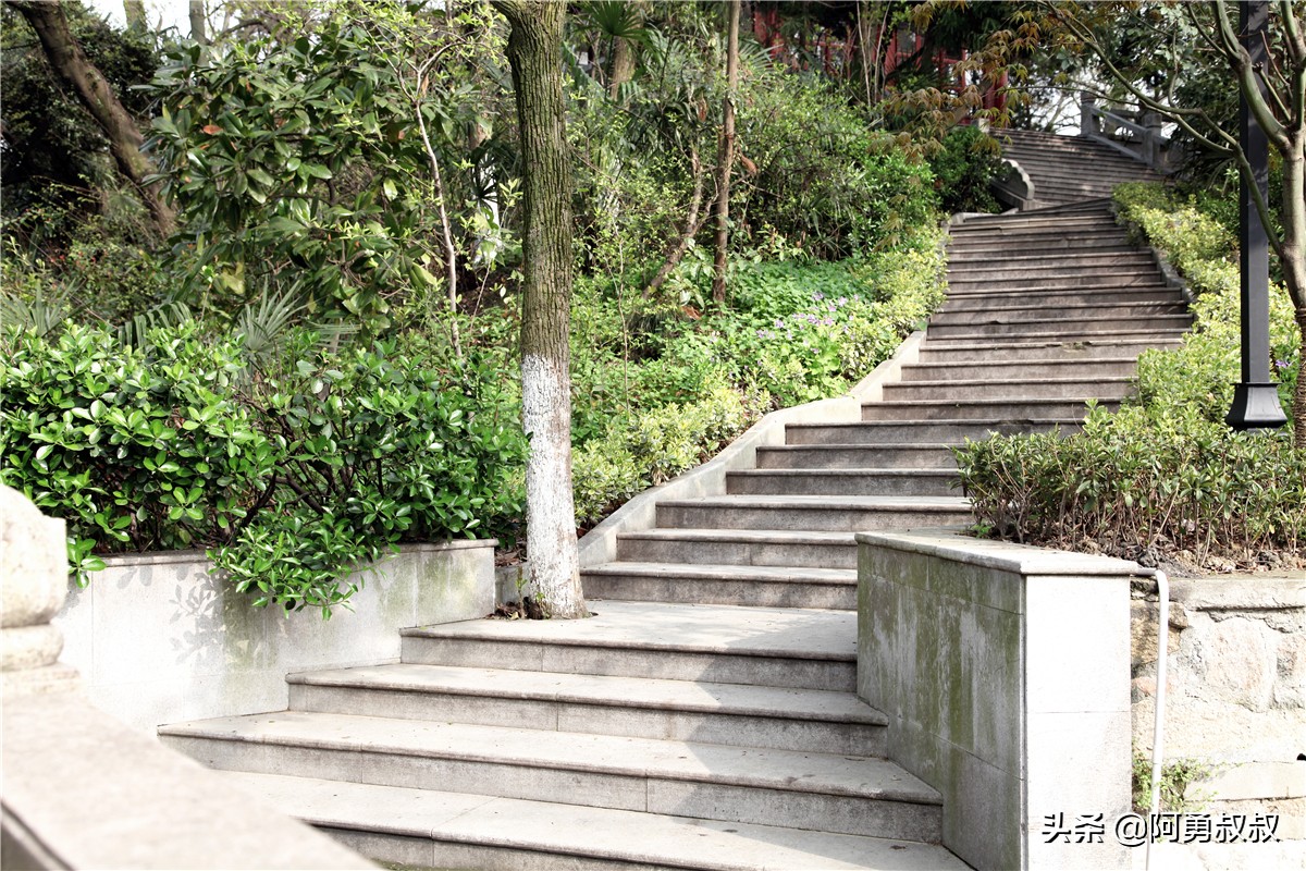 全国百强高中苏州有几个,苏州实验中学科技城校区