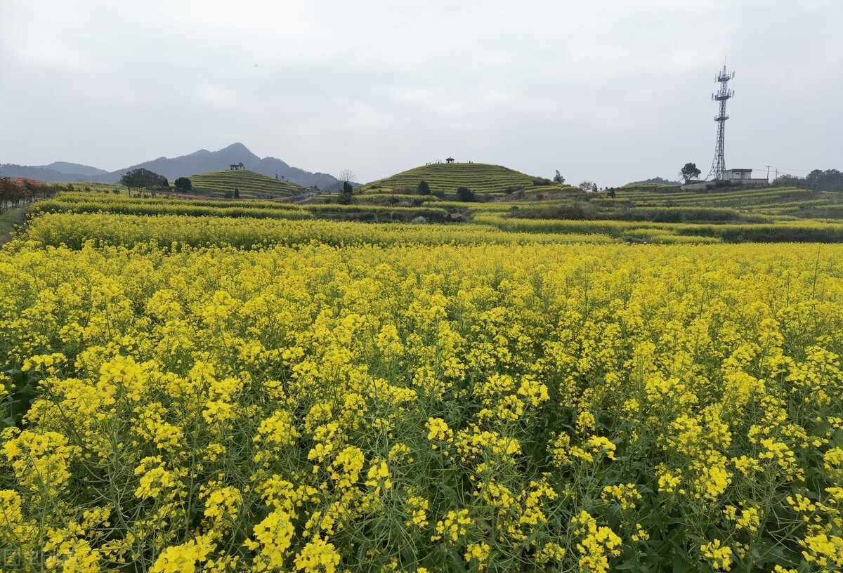 义乌小商品市场全世界最大,义乌是一座闻名世界的小商品之都