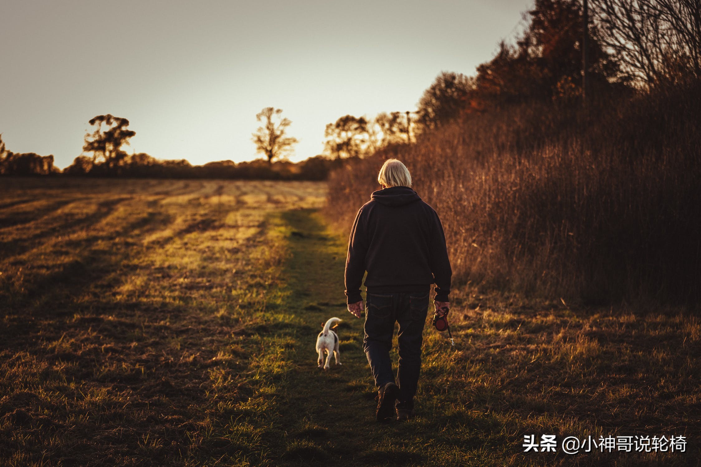 电动轮椅年销额破百亿，老人能用吗？好不好用？