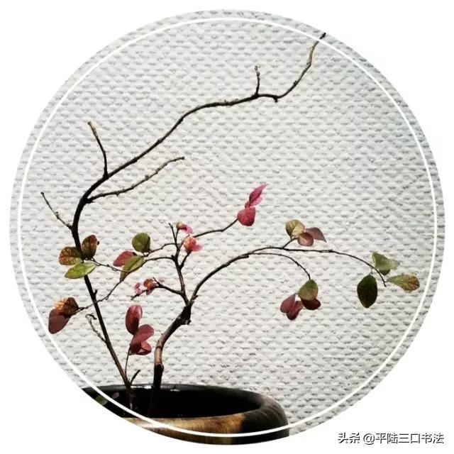 100个最有文化内涵的汉字,50个最美汉字50种文化含义