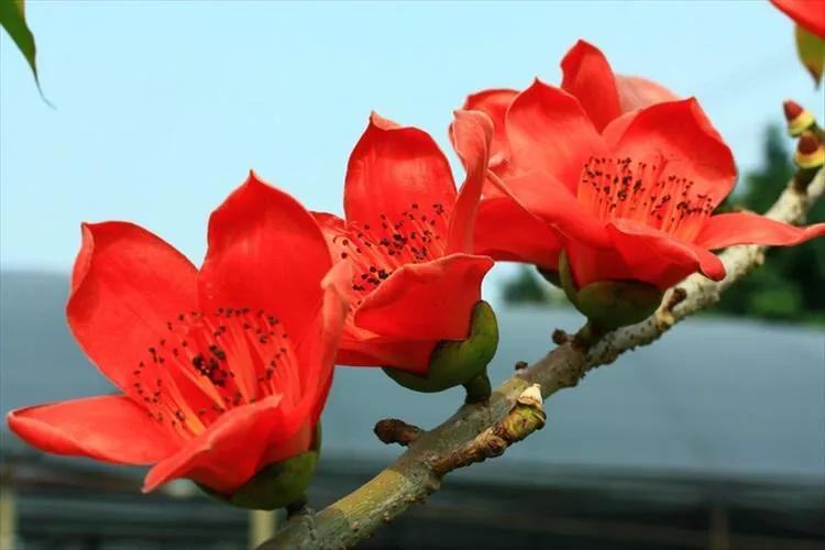 散文随笔美文感悟人生,散文随笔人生易老