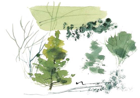 水彩绘画用的纸,水彩绘画用的画笔