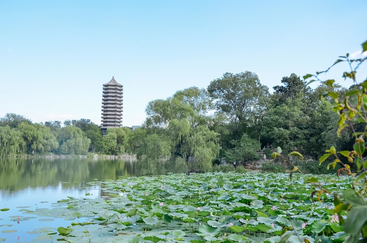 家长带孩子去北大孩子需要预约吗,家长带孩子去北京必去地方