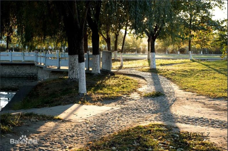 东北大学秦皇岛分校与燕山大学,东北大学秦皇岛分校属于双一流么