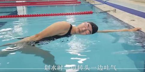 速泳25米自由泳速成,抬头式自由泳的速成方法
