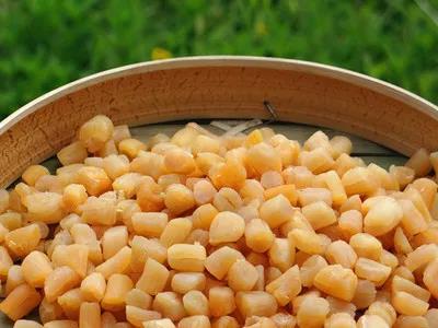 大连吃扇贝去哪吃,大连的扇贝有哪几个品种