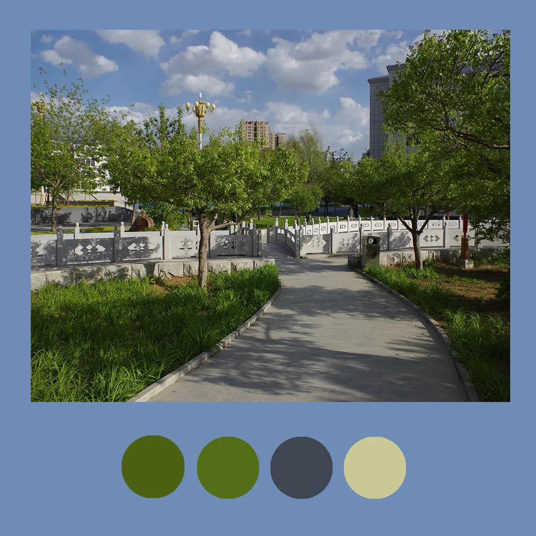 色彩里的构图,色彩中的光感