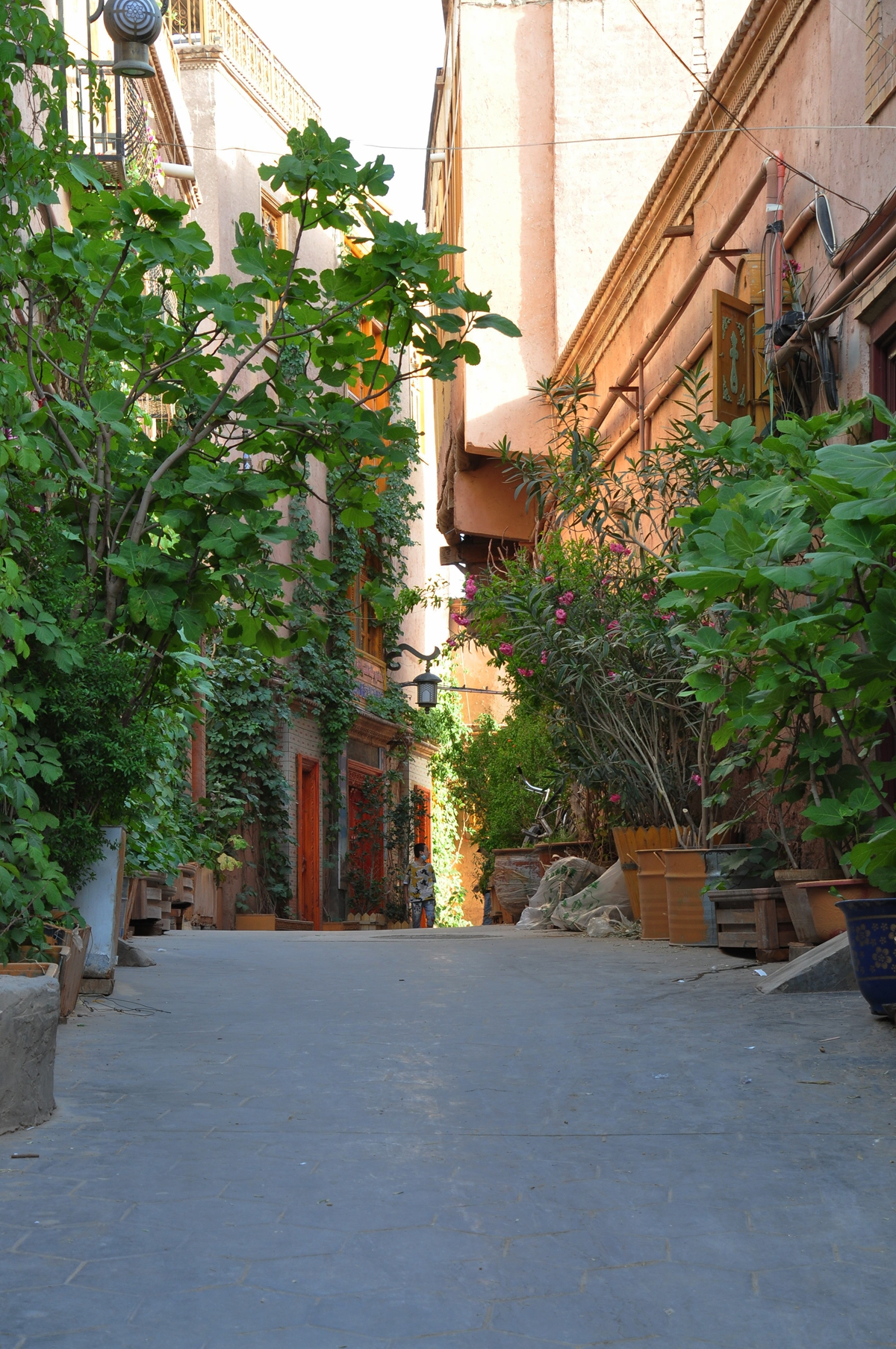 喀什噶尔古城表演时间,喀什噶尔古城门票多少钱