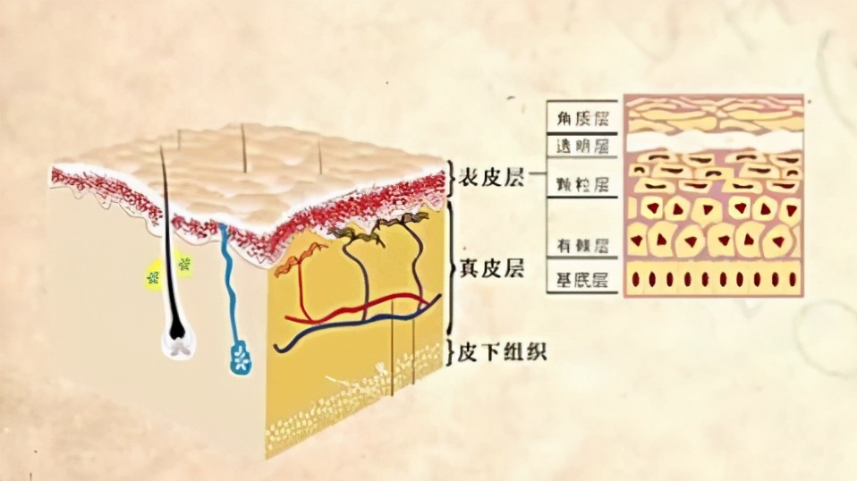 孕期能安全护肤吗答案在这里,孕期护肤要避开的误区
