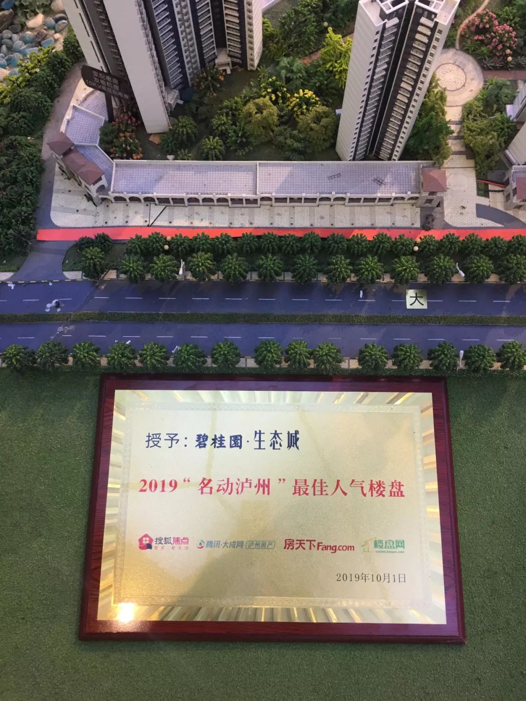 泸州江阳酒谷大道碧桂园生态城,泸州碧桂园生态城全景