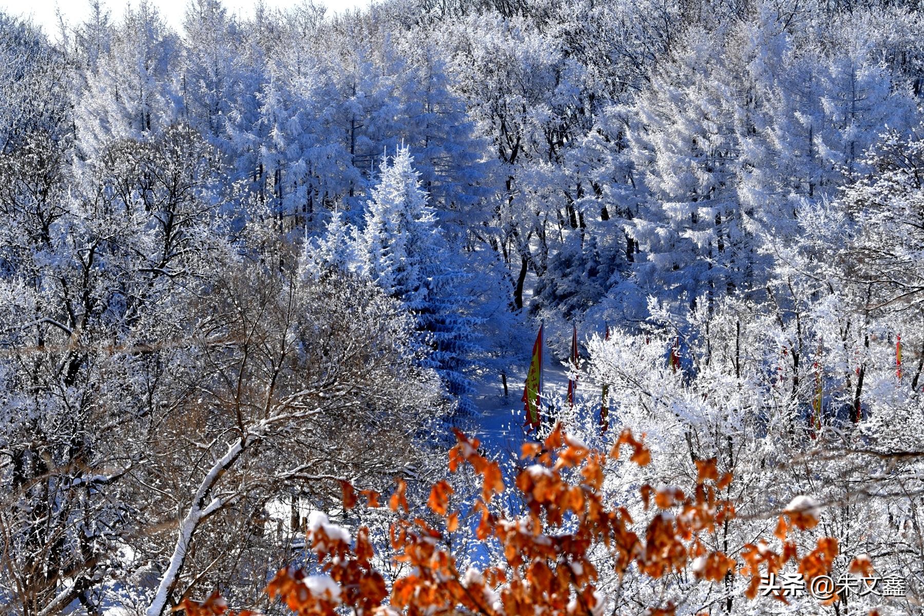 吉林柳河下雪,吉林省通化市柳河