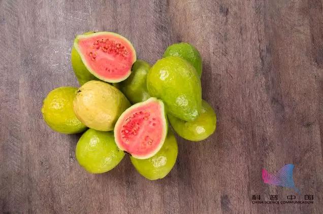 樱桃车厘子菠萝凤梨,车厘子水果和樱桃的区别