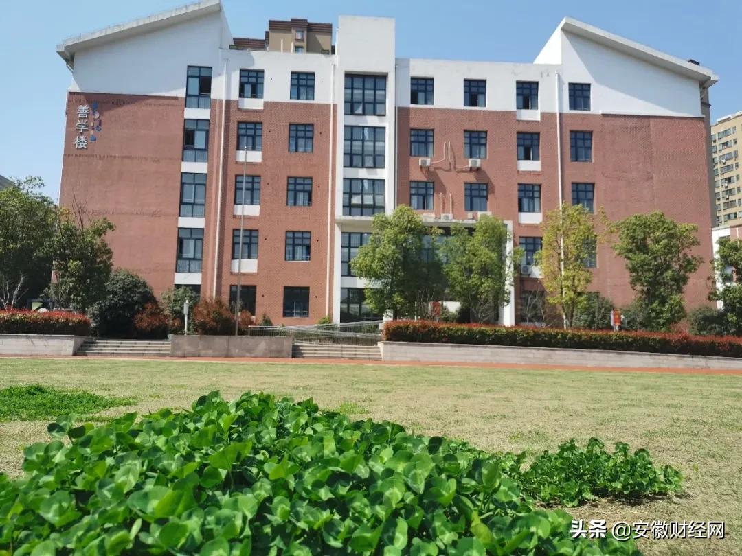 花都开好了现场完整版,花都开好了合唱合拍