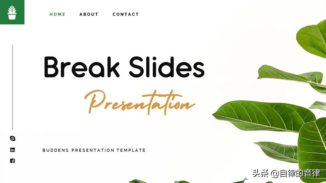 只要加些植物元素，你的PPT页面精致又有格调