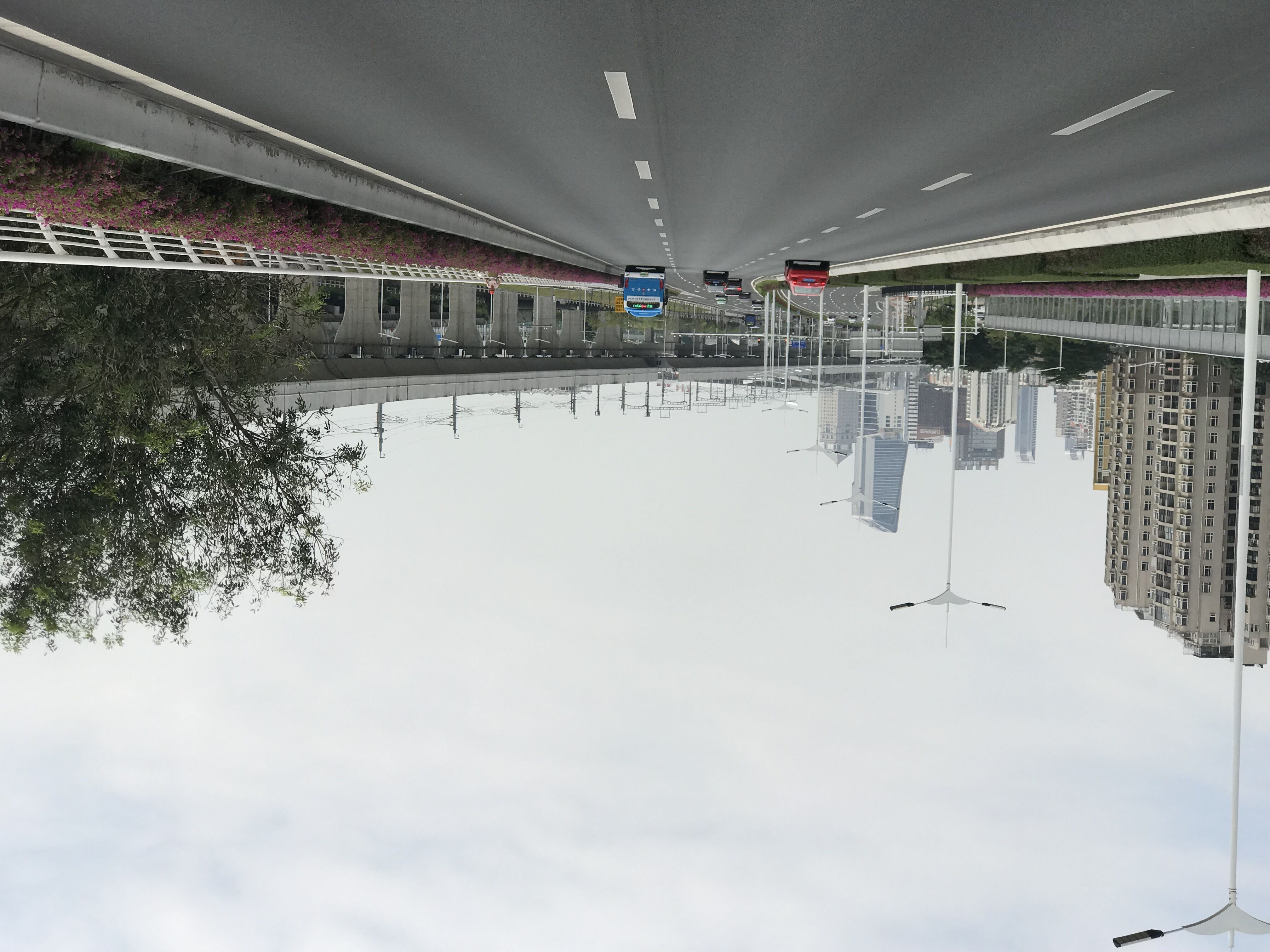 五一自驾野游珠海,珠海自驾游东北路线攻略