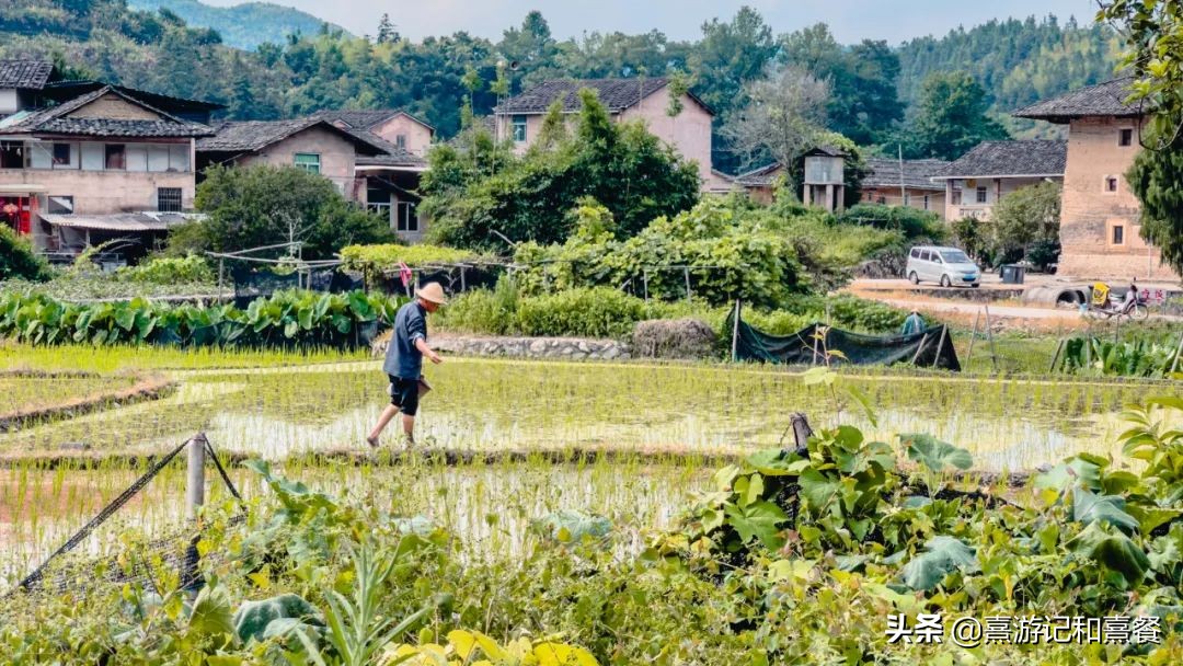 福建大山深处竟还藏着这样的美景,福建一座隐藏在山间的人间仙境