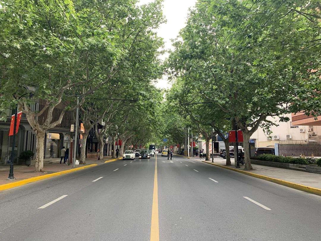 不出沪门之玩转魔都,不出沪上海周边旅游