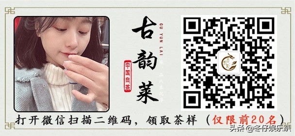 关于白茶的六大谣言,白茶过曝