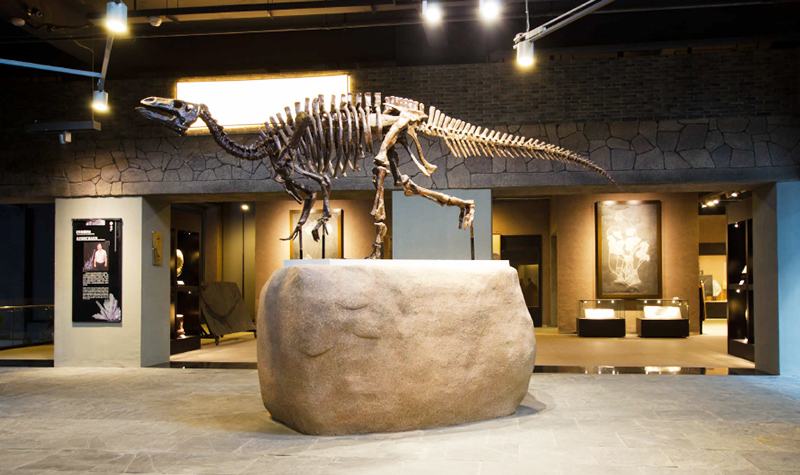 江苏省无锡市4a景区,江苏省无锡市旅游景区免费的